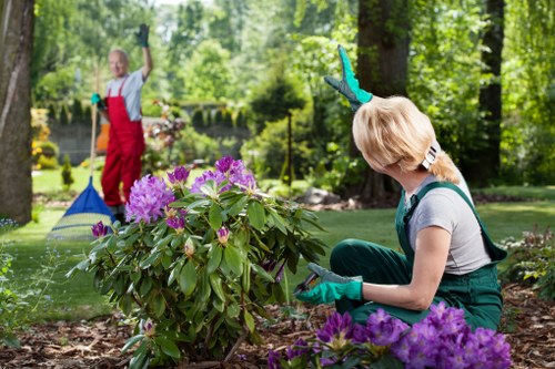 Gardeners Tottenham quote service for a terraced house front garden