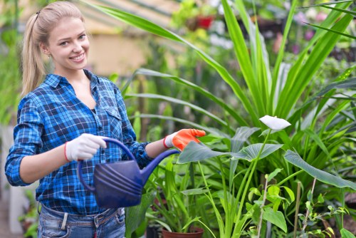 Seasonal garden waste removal service in Tottenham