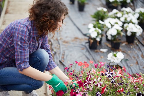 Free quote policy for Tottenham garden services