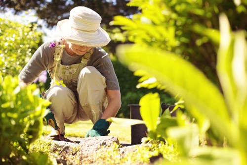 Planning a landscape gardening project in Tottenham