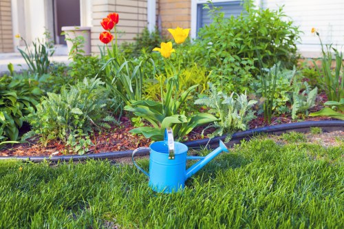 Professional garden maintenance and lawn care in Tottenham