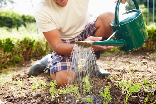 Local gardening services improving a Tottenham property