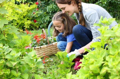 Hedge trimming and garden clearance services in Tottenham