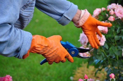 Gardeners Tottenham introducing local garden care values