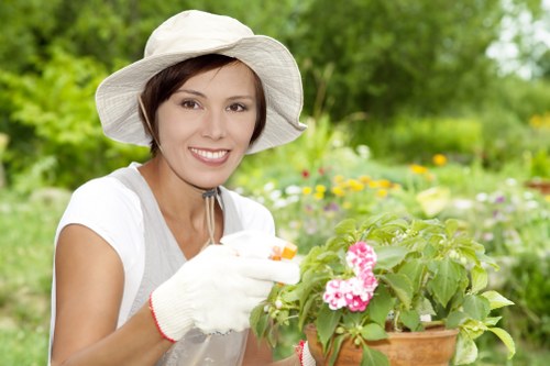 Healthy green lawn care in Tottenham garden setting