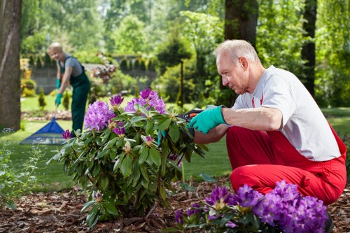 Charity donation of reusable garden items and materials