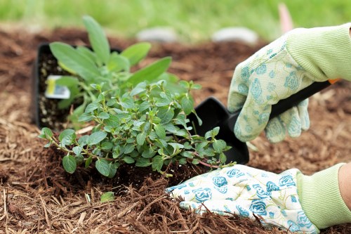 Safety procedures for gardeners during routine maintenance tasks