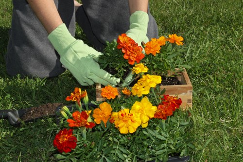 Professional gardeners in Tottenham supporting attractive gardens