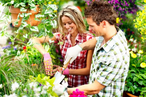Assessing completed gardening work and service details