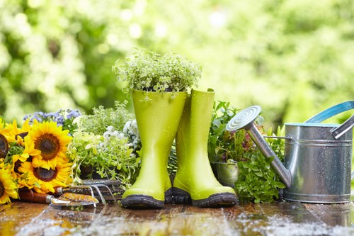 Professional gardeners in Tottenham maintaining a healthy lawn and borders