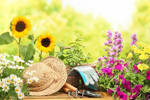 Reviewing garden maintenance concerns with notes and photographs