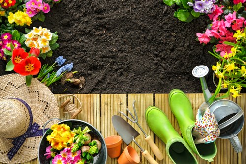 Professional garden maintenance work in Tottenham including hedge trimming and plant care