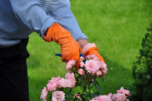 Risk control and safe practices in garden services