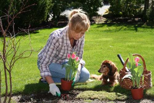 Professional garden clearance for a Tottenham property