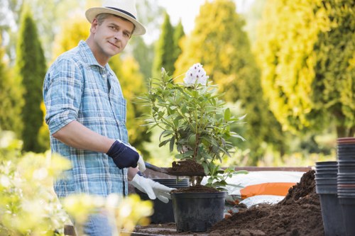 Removal of garden waste and debris in Tottenham