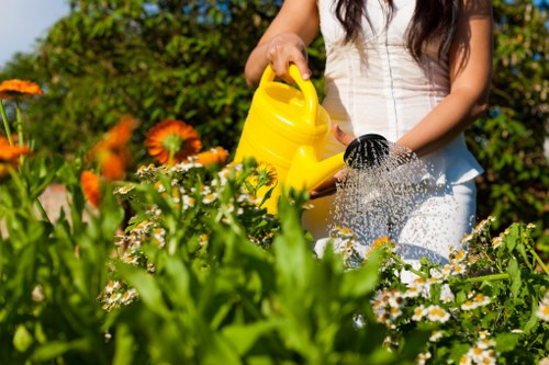 Seasonal planting and border care in Tottenham gardens