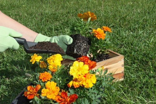 Screen-reader compatible gardening services content for Tottenham