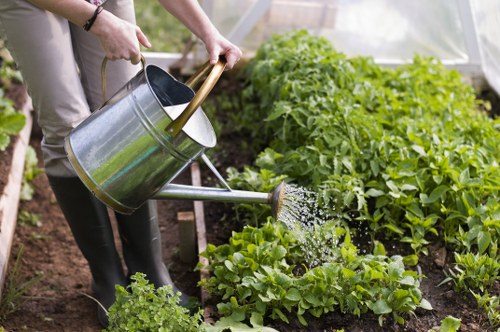 About Us Gardeners Tottenham highlighting seasonal garden care