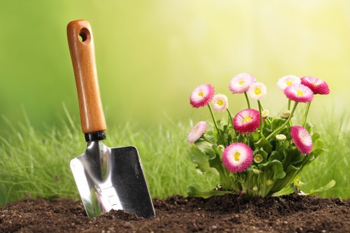 Stump grinding and tree removal service completed in Tottenham