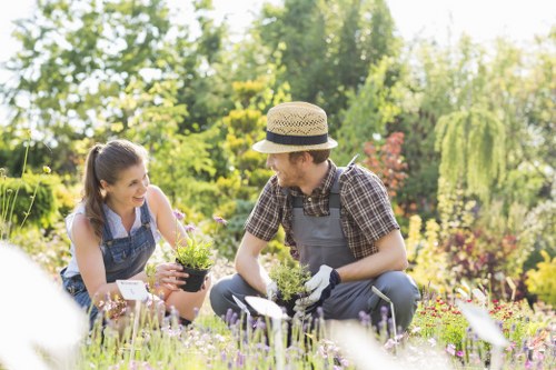 Inclusive web access statement for Tottenham garden services