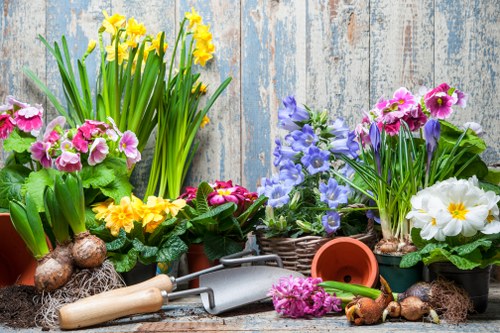 Experienced Tottenham gardeners creating a balanced and welcoming garden