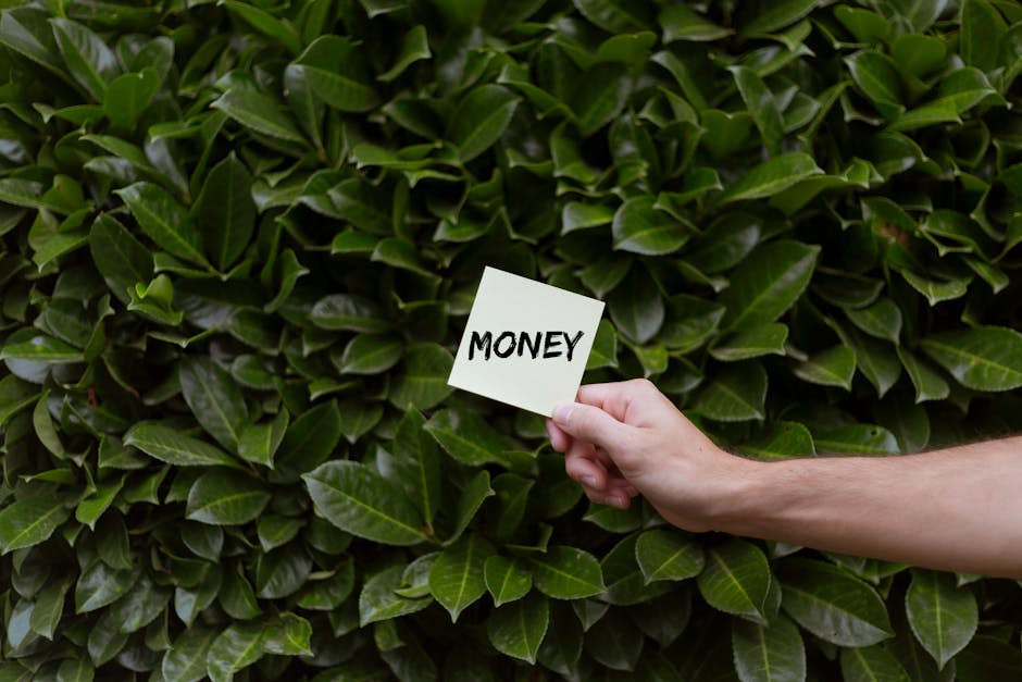 Avoid hidden charges from Tottenham gardeners what to know