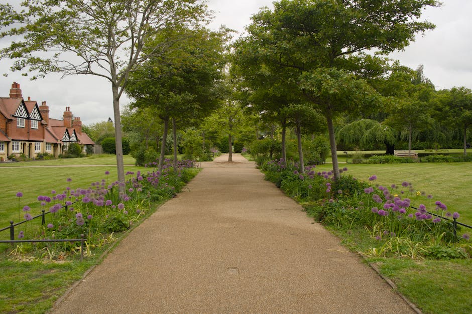 A straight, well-maintained gravel pathway in Bruce Castle Park lined with evenly spaced young deciduous trees on both sides, their green leaves forming a partial canopy overhead. Along the edges of t