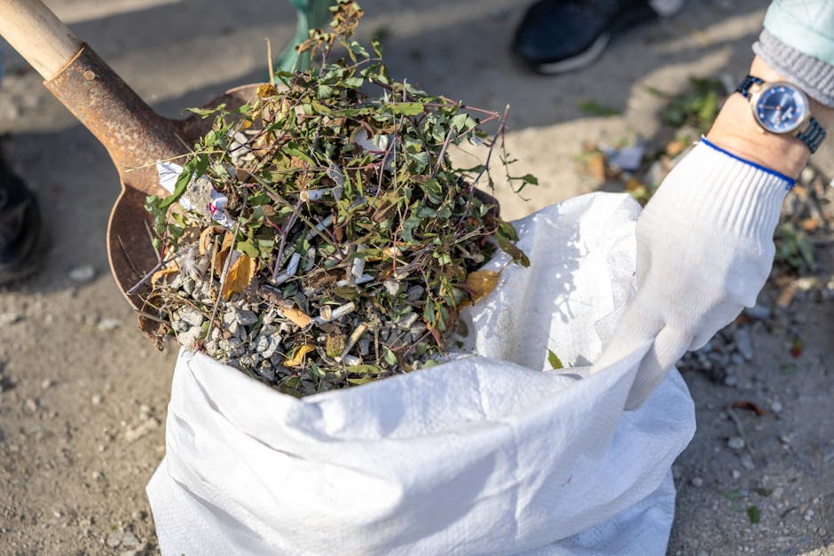 A blue garden wheelbarrow filled with freshly cut green ivy and garden branches, resting on a grassy lawn with patches of dandelions and small weeds. The wheelbarrow's black rubber wheel and rusty met